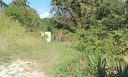 Участок на Тепличном!