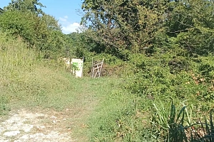 Участок на Тепличном!