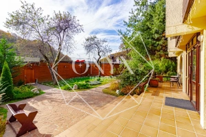 Изображение 8