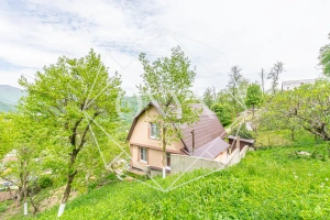 Изображение 14