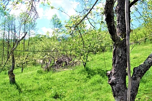 Шикарный участок утопающий в зелени