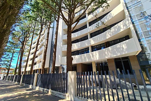 Комерция на первлй береговой