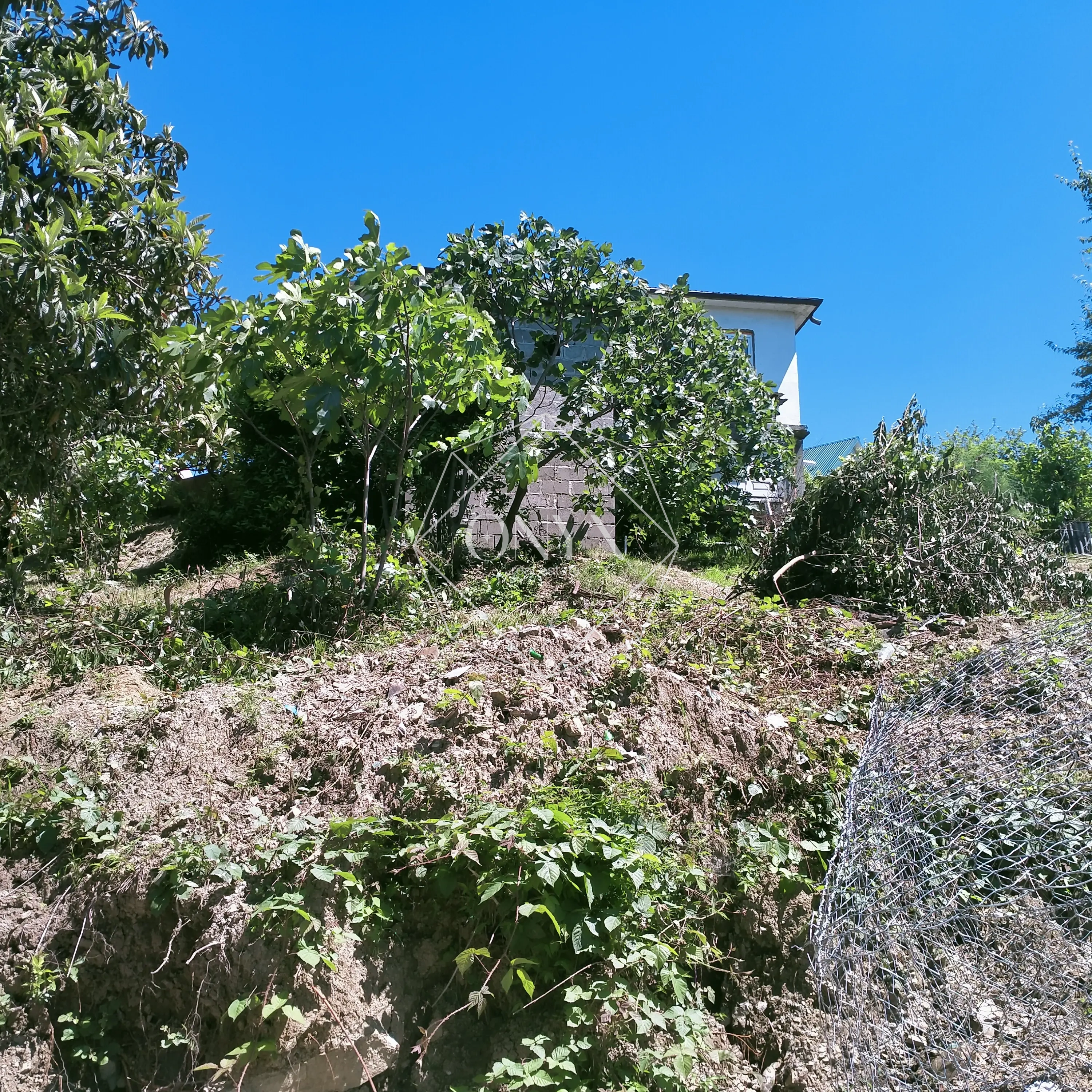 Изображение 9