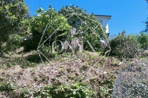 Изображение 9