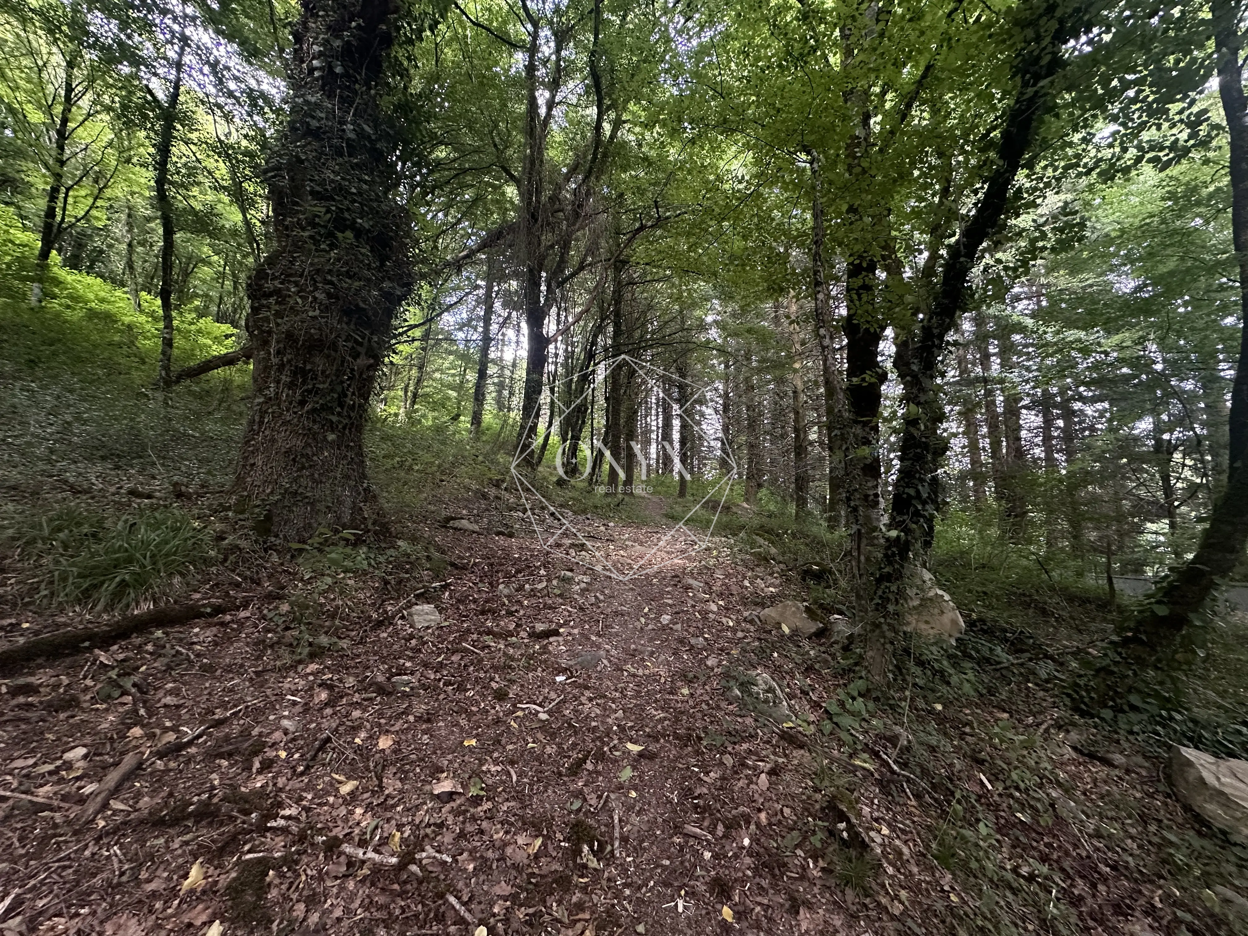 Изображение 8