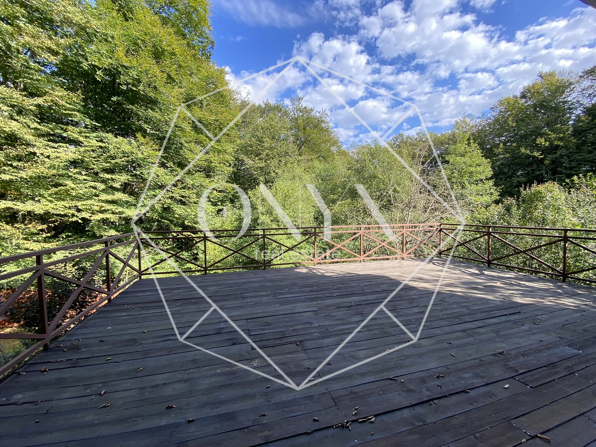 Изображение 12