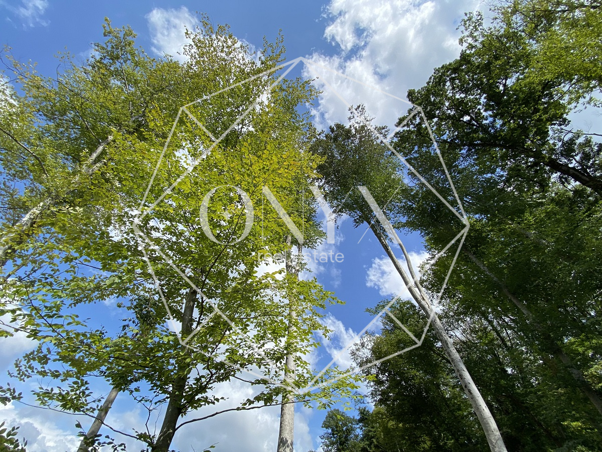 Изображение 15