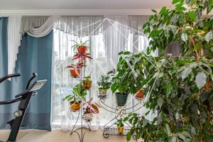 Изображение 7