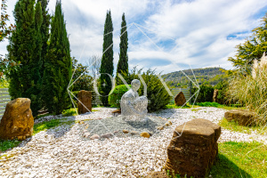 Изображение 13