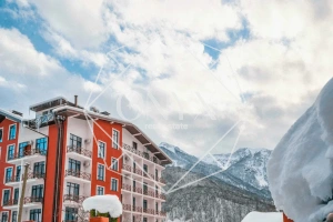 Изображение 3