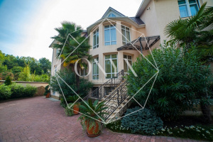 Изображение 20