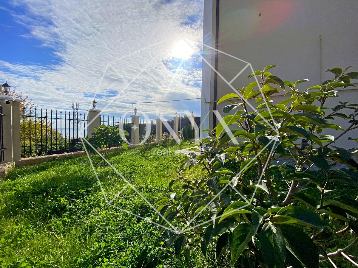 Изображение 27