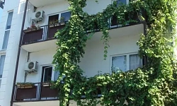 Гостевой дом в центре Адлера