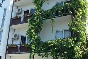 Гостевой дом в центре Адлера