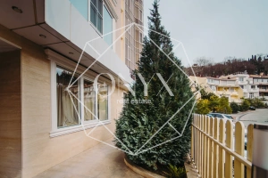 Изображение 15