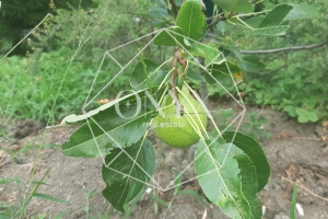 Изображение 7