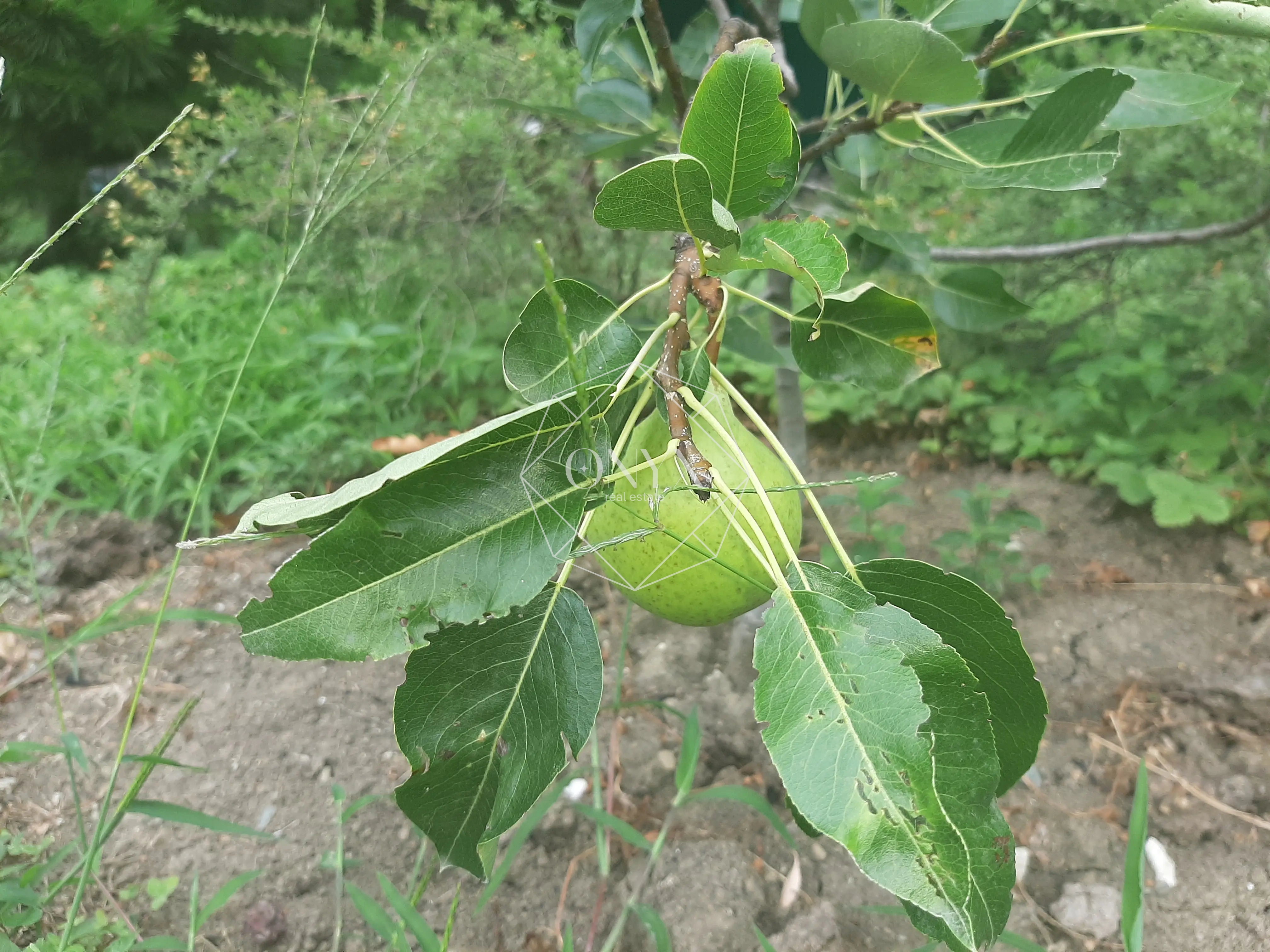 Изображение 7