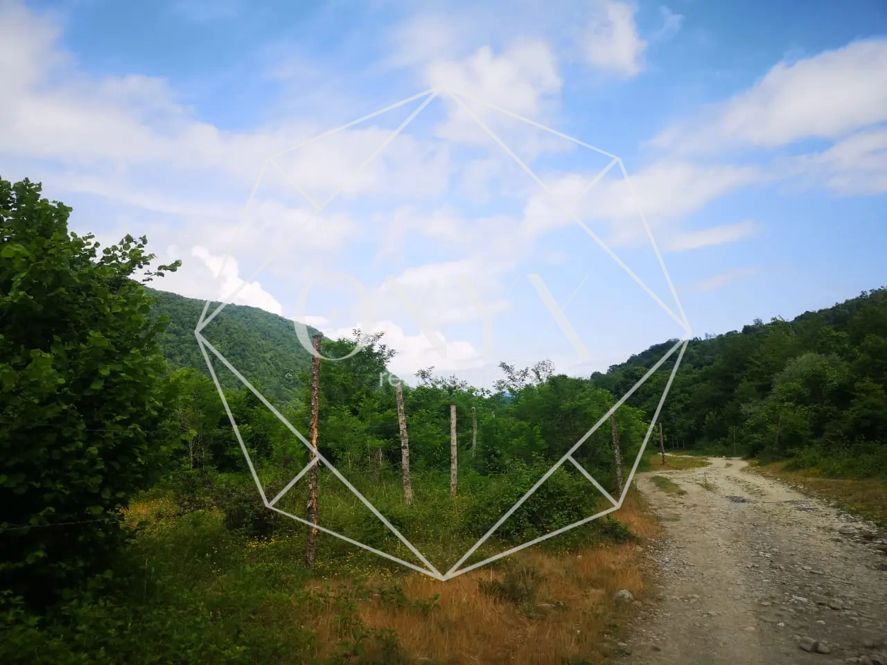 Изображение 13