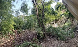 Продам участок в центре Сочи