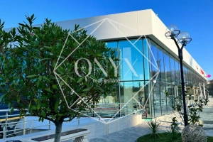 Изображение 7