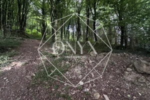 Изображение 12