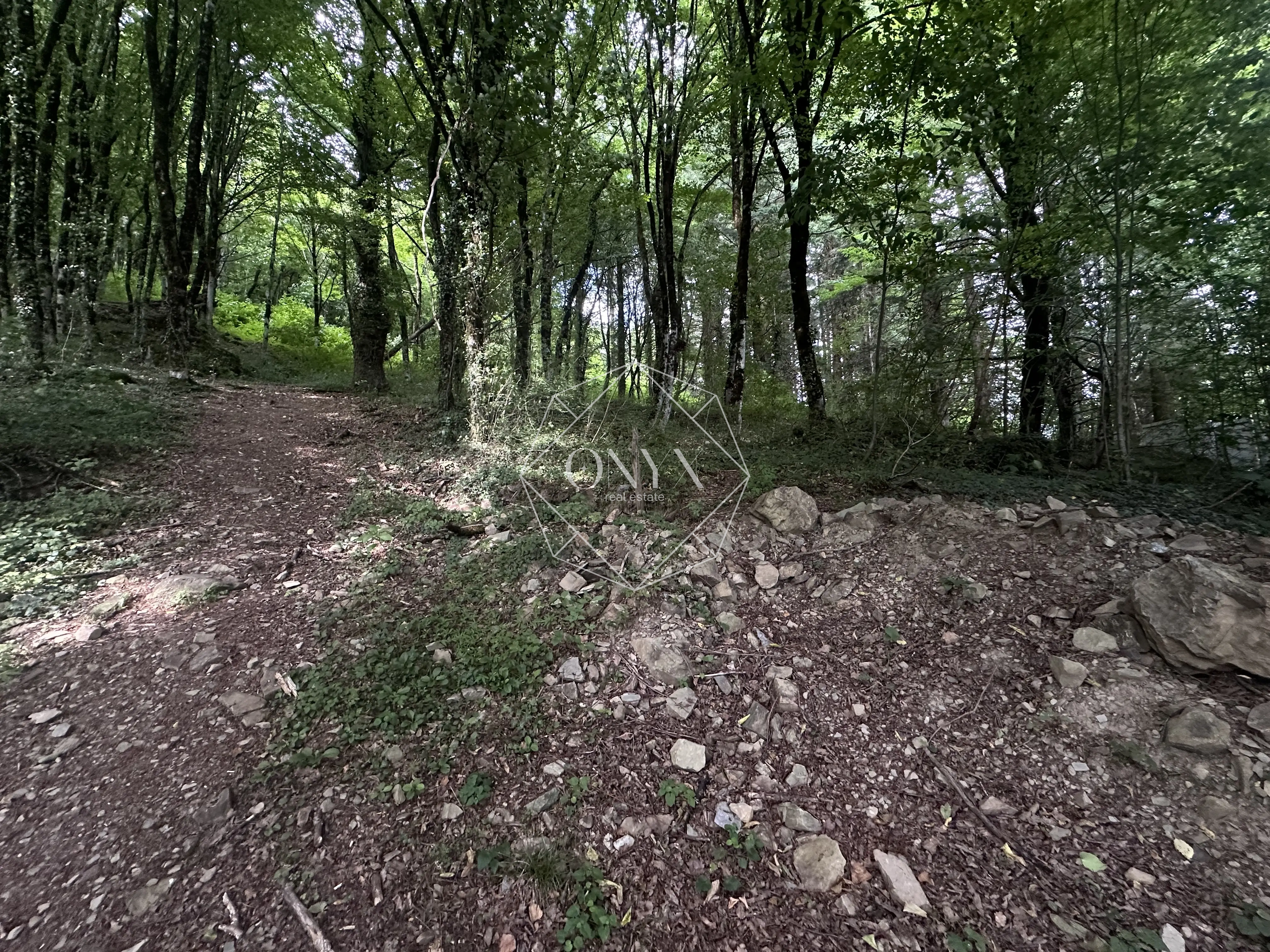 Изображение 12