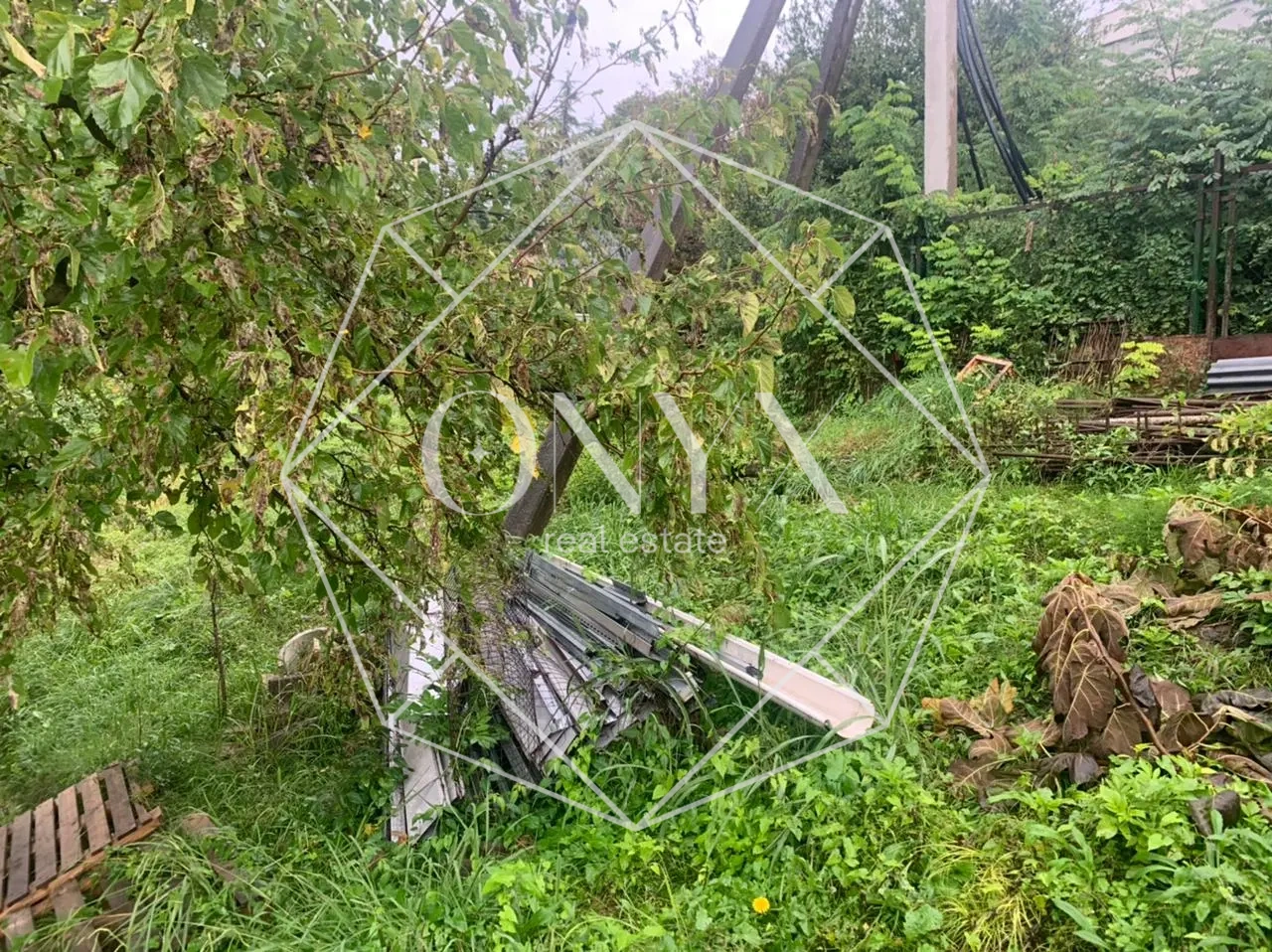 Изображение 10