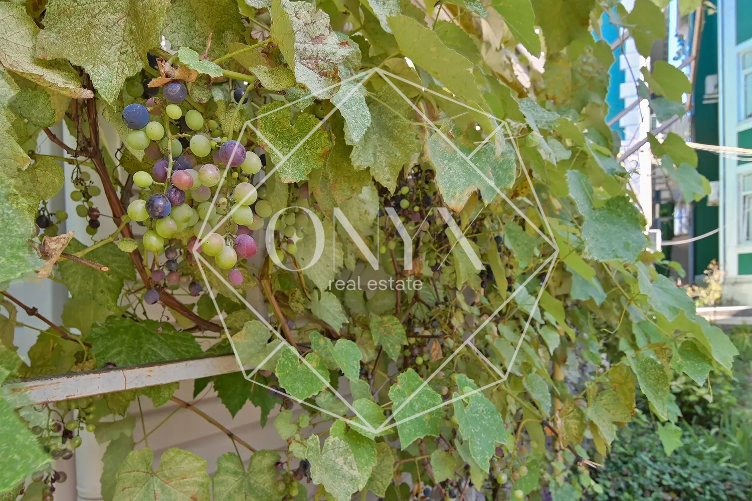 Изображение 12