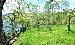 Шикарный участок с видом на море