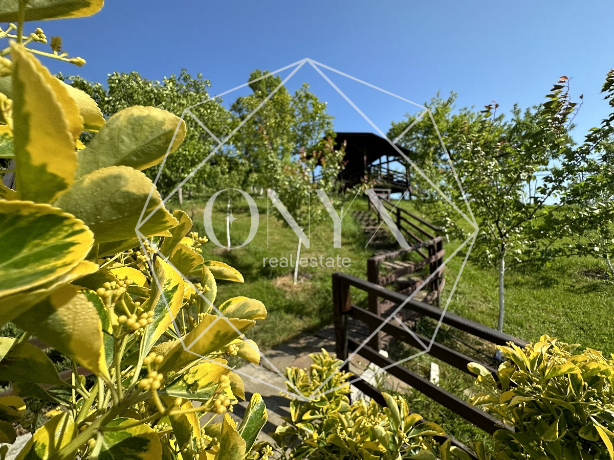 Изображение 20