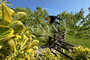 Изображение 20