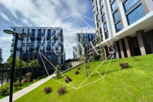 Изображение 16