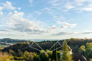 Изображение 22