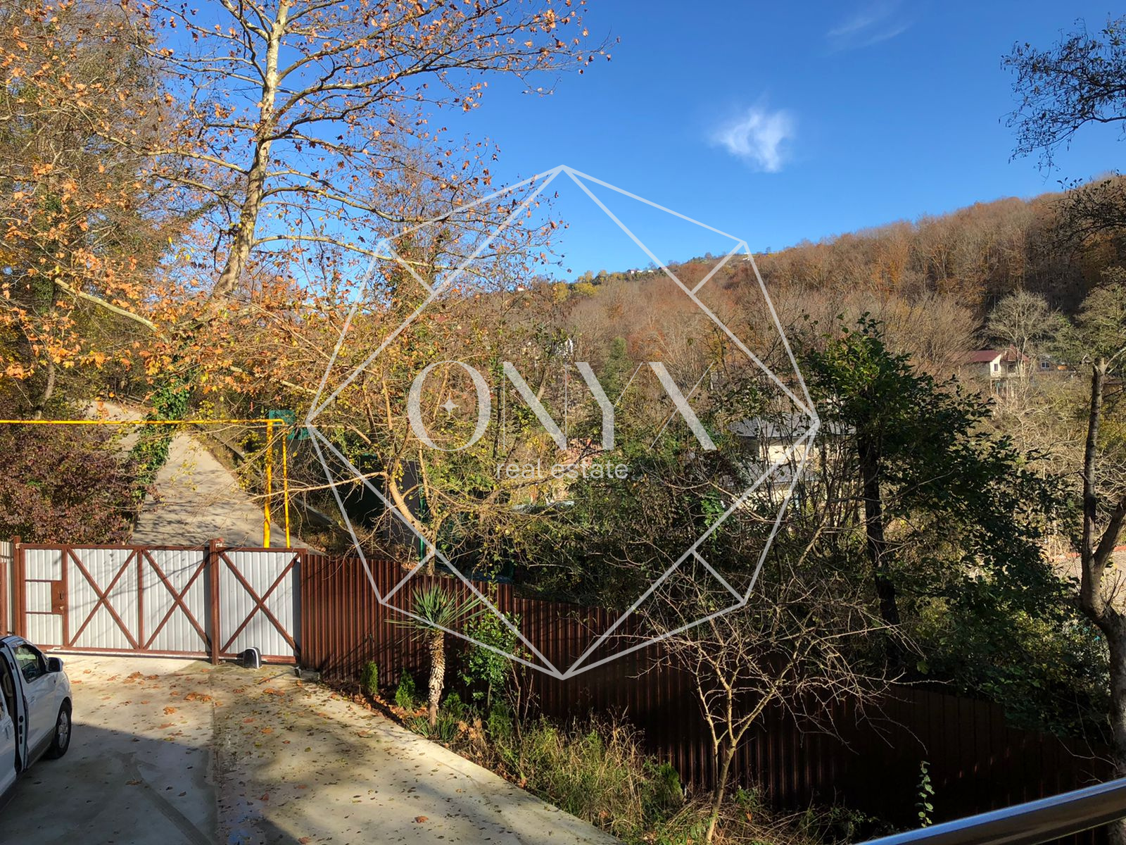 Изображение 16