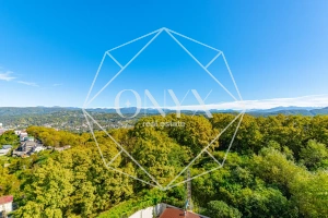 Изображение 16