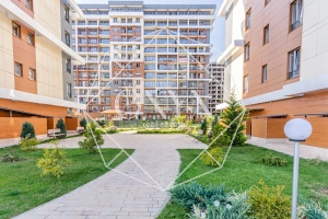 Изображение 9