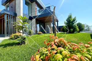 Изображение 5