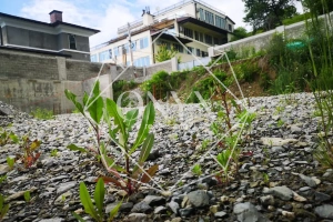 Изображение 10