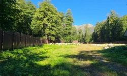 Приватный участок Красная Поляна для состояте...