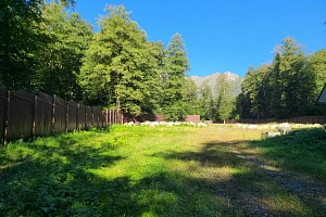 Приватный участок Красная Поляна для состояте...