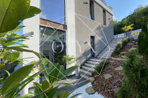 Изображение 14