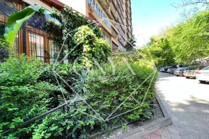 Изображение 12