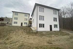 Большой новый дом