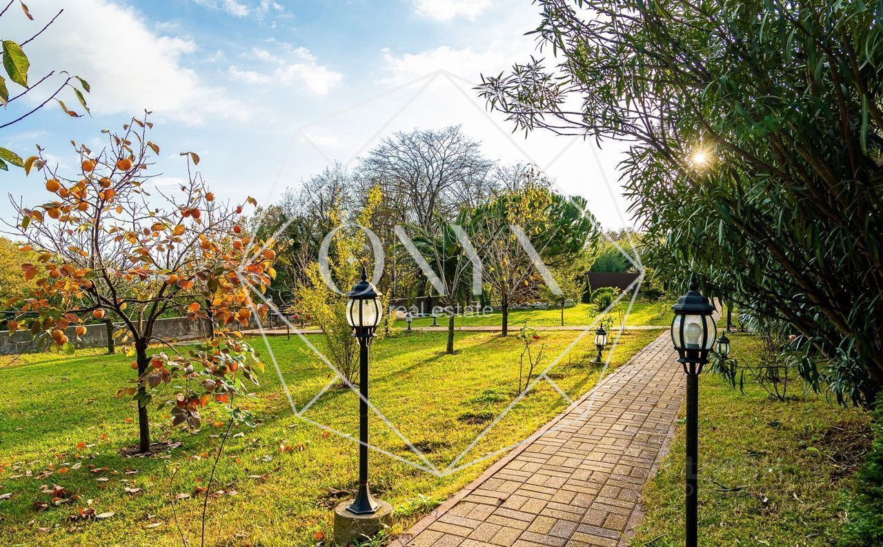 Изображение 17