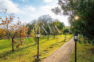 Изображение 17