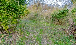 Участок с панорамным видом на море