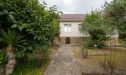 Дом с участком 