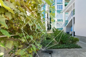 Изображение 15