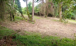 Участок в Хосте