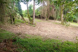 Участок в Хосте